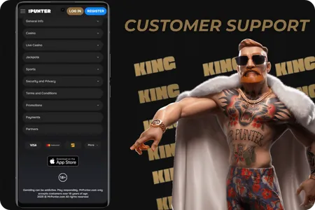 Customer Support in casino Mr Punter