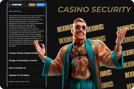 Security in casino Mr Punter