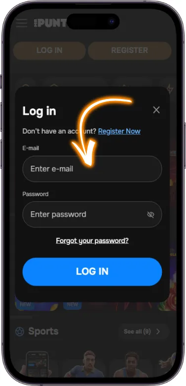 Enter lodin and password at form
