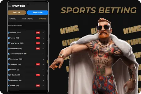 Mr Punter sports betting interface